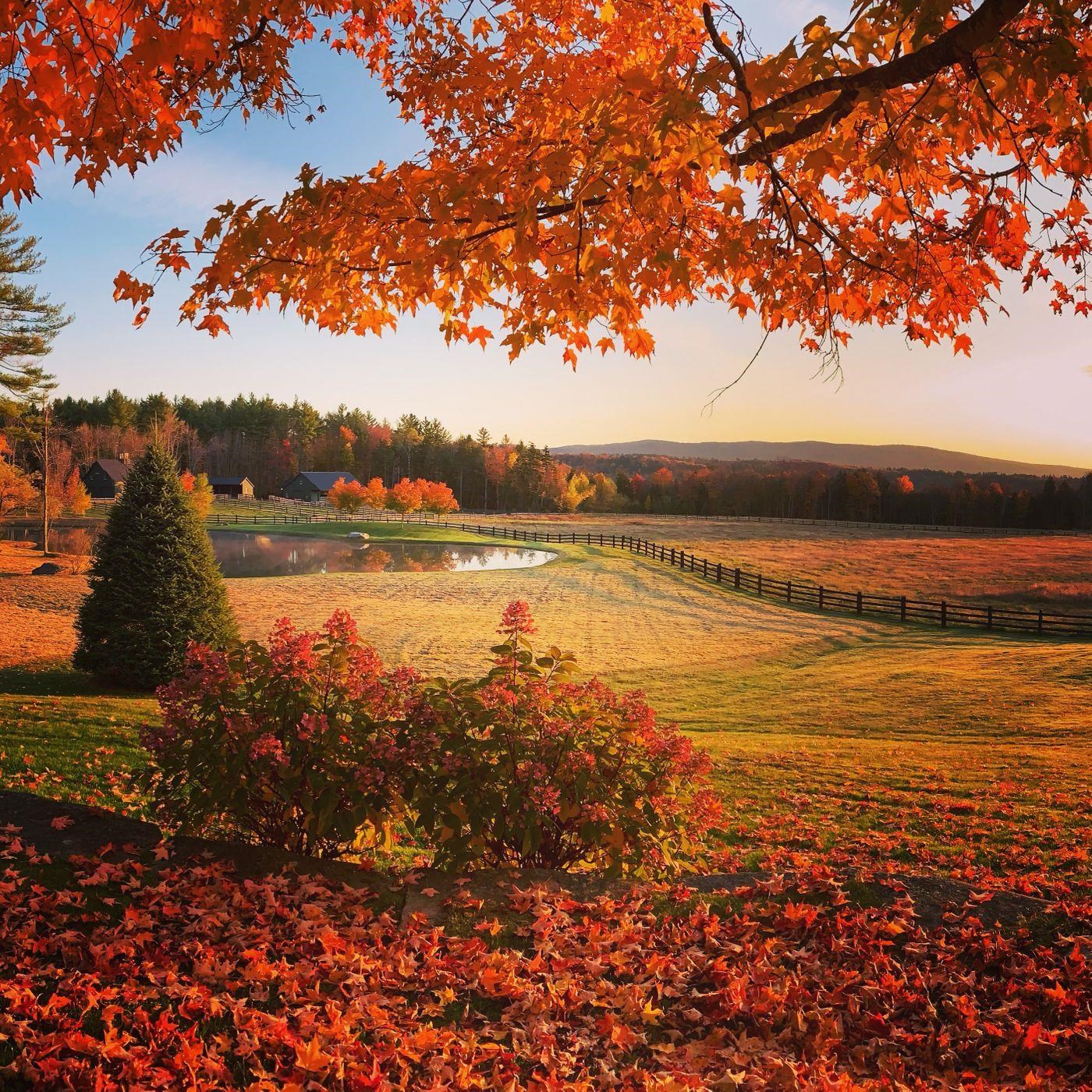 904 Reilly Road Londonderry, VT 05148 - Photo 39 of 40