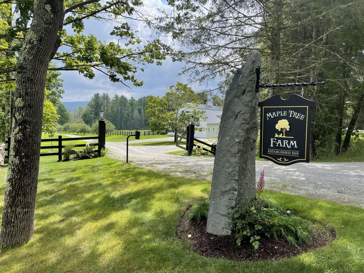 904 Reilly Road Londonderry, VT 05148 - Photo 40 of 40