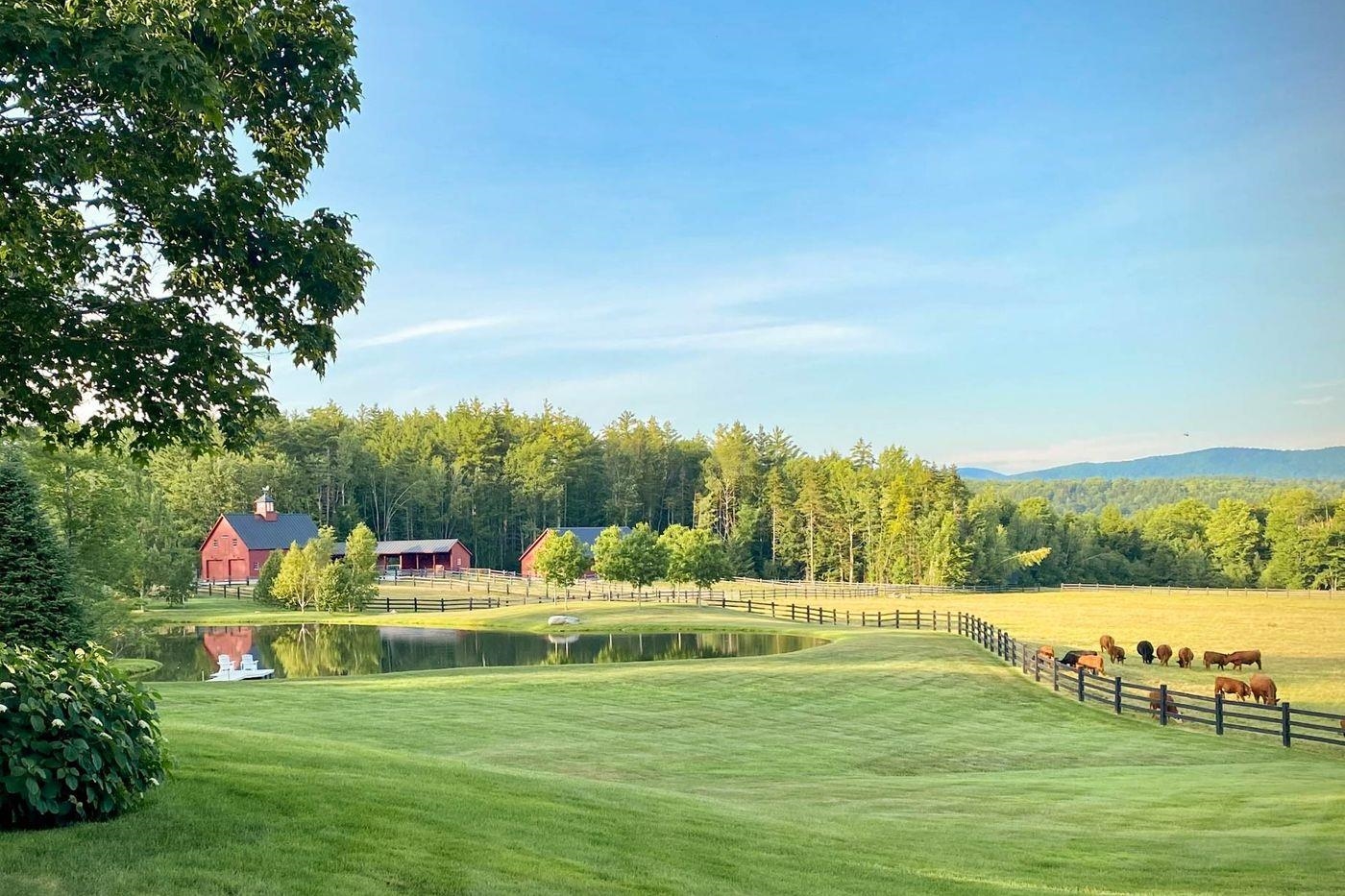 904 Reilly Road Londonderry, VT 05148 - Photo 8 of 40