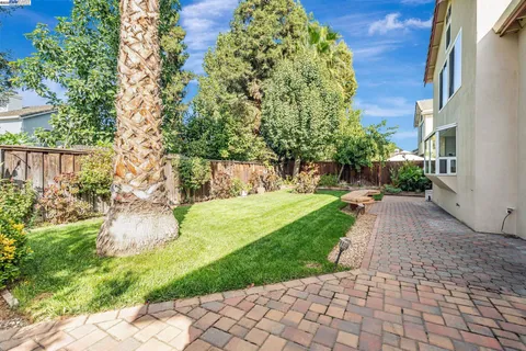 a view of a back yard