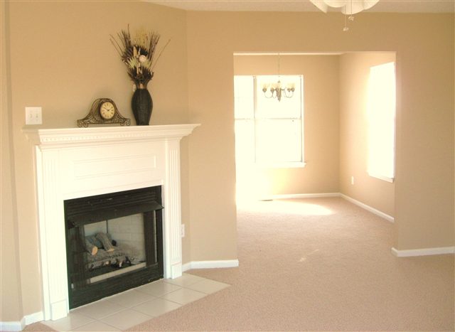 102 Charlie Way Fountain Inn, SC 29644 - Photo 2 of 16 Gallery Image 2
