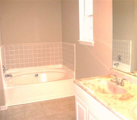 102 Charlie Way Fountain Inn, SC 29644 - Photo 13 of 16 Gallery Image 13