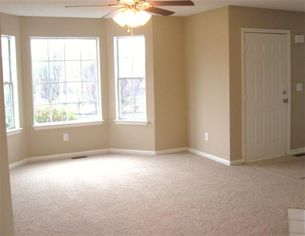 102 Charlie Way Fountain Inn, SC 29644 - Photo 3 of 16 Gallery Image 3