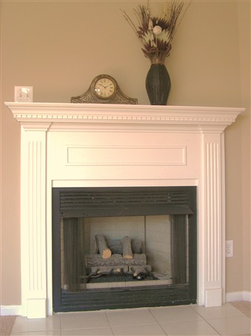 102 Charlie Way Fountain Inn, SC 29644 - Photo 4 of 16 Gallery Image 4