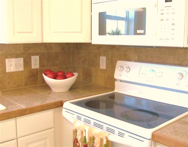102 Charlie Way Fountain Inn, SC 29644 - Photo 6 of 16 Gallery Image 6