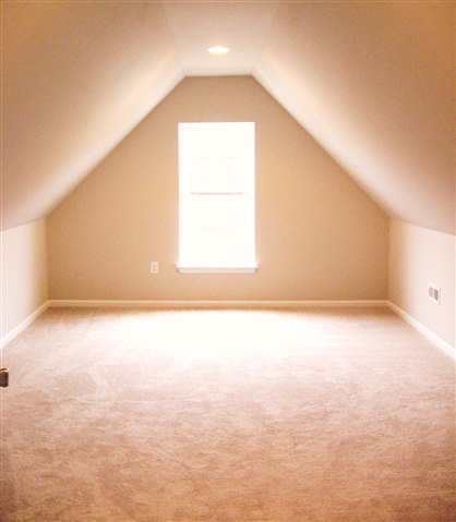 102 Charlie Way Fountain Inn, SC 29644 - Photo 9 of 16 Gallery Image 9