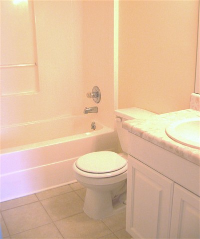 102 Charlie Way Fountain Inn, SC 29644 - Photo 10 of 16 Gallery Image 10