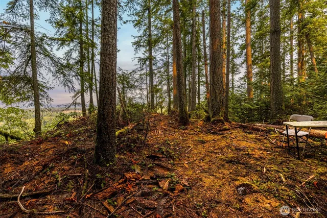 $1,950,000 | 25193 Walker Valley Road, Mount Vernon, WA 98274