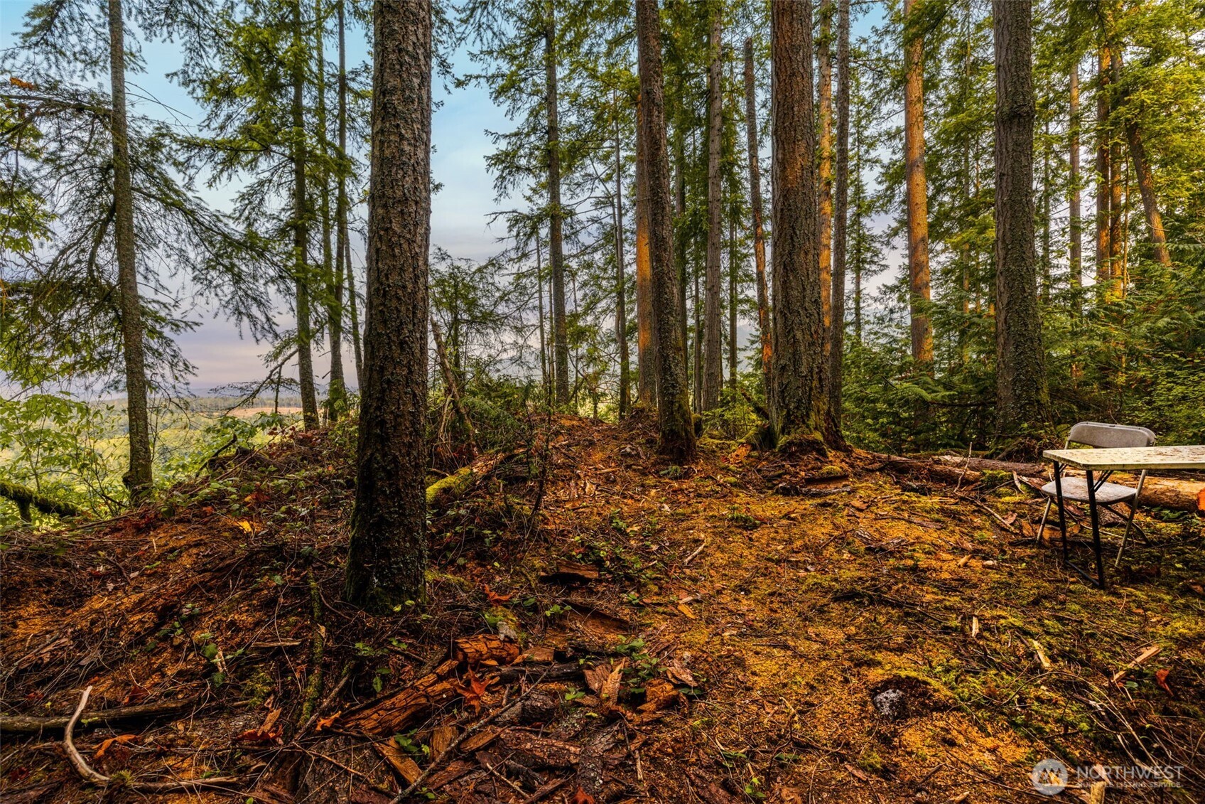 25193 Walker Valley Road Mount Vernon, WA 98274 - Photo 35 of 38