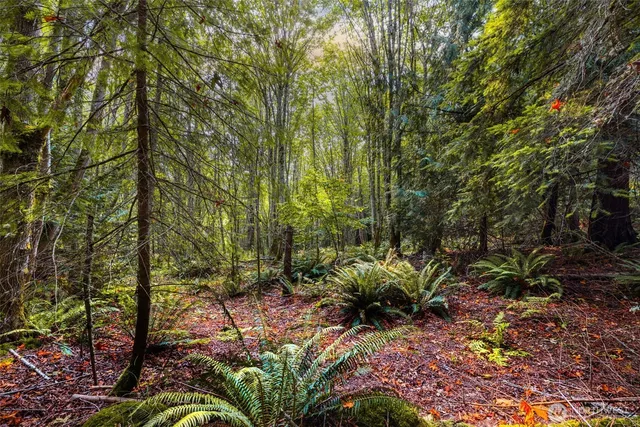 $1,950,000 | 25193 Walker Valley Road, Mount Vernon, WA 98274