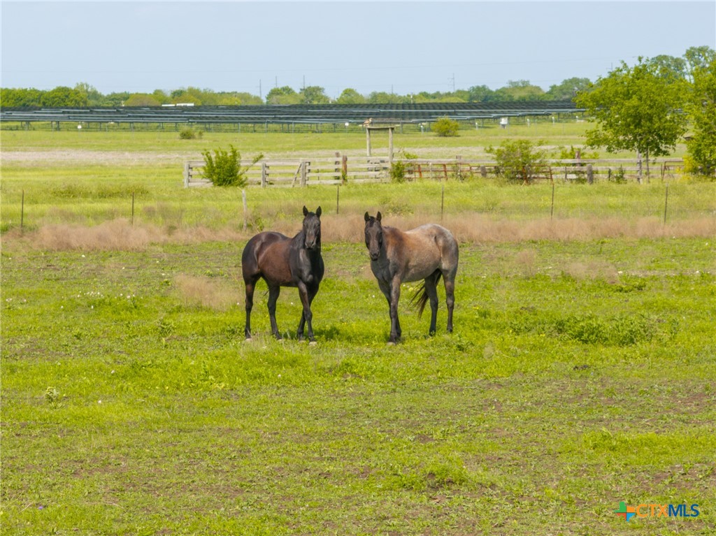 411 Wade Road Eddy, TX 76524 - Photo 9 of 48 a view of an ocean from a lake