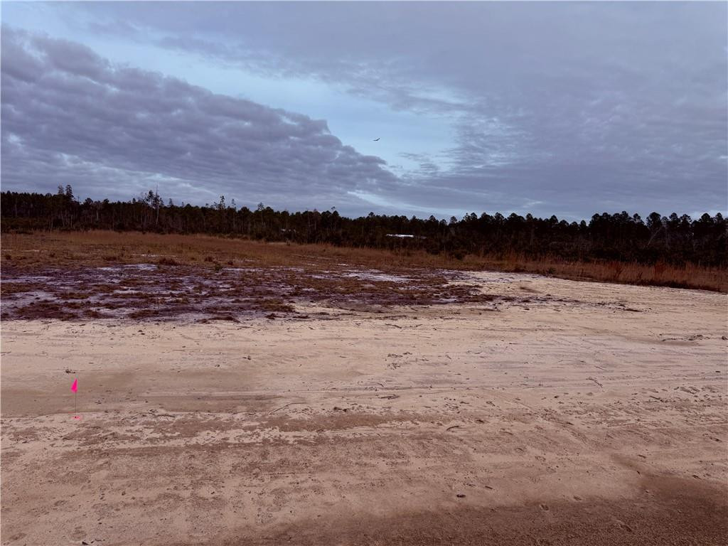 Lot 8 Wiregrass Lane, Unit 8 Waycross, GA 31503 - Photo 1 of 6 Photo 1