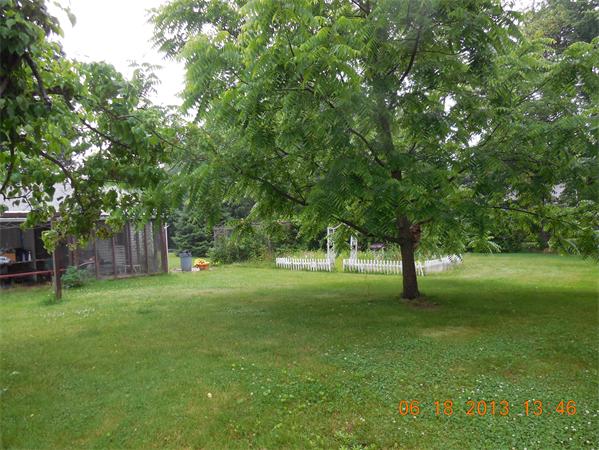 782 Morgan Road West Springfield, MA 01089 - Photo 5 of 19