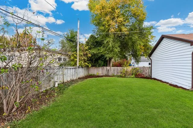 a view of a backyard with plants and large trees
