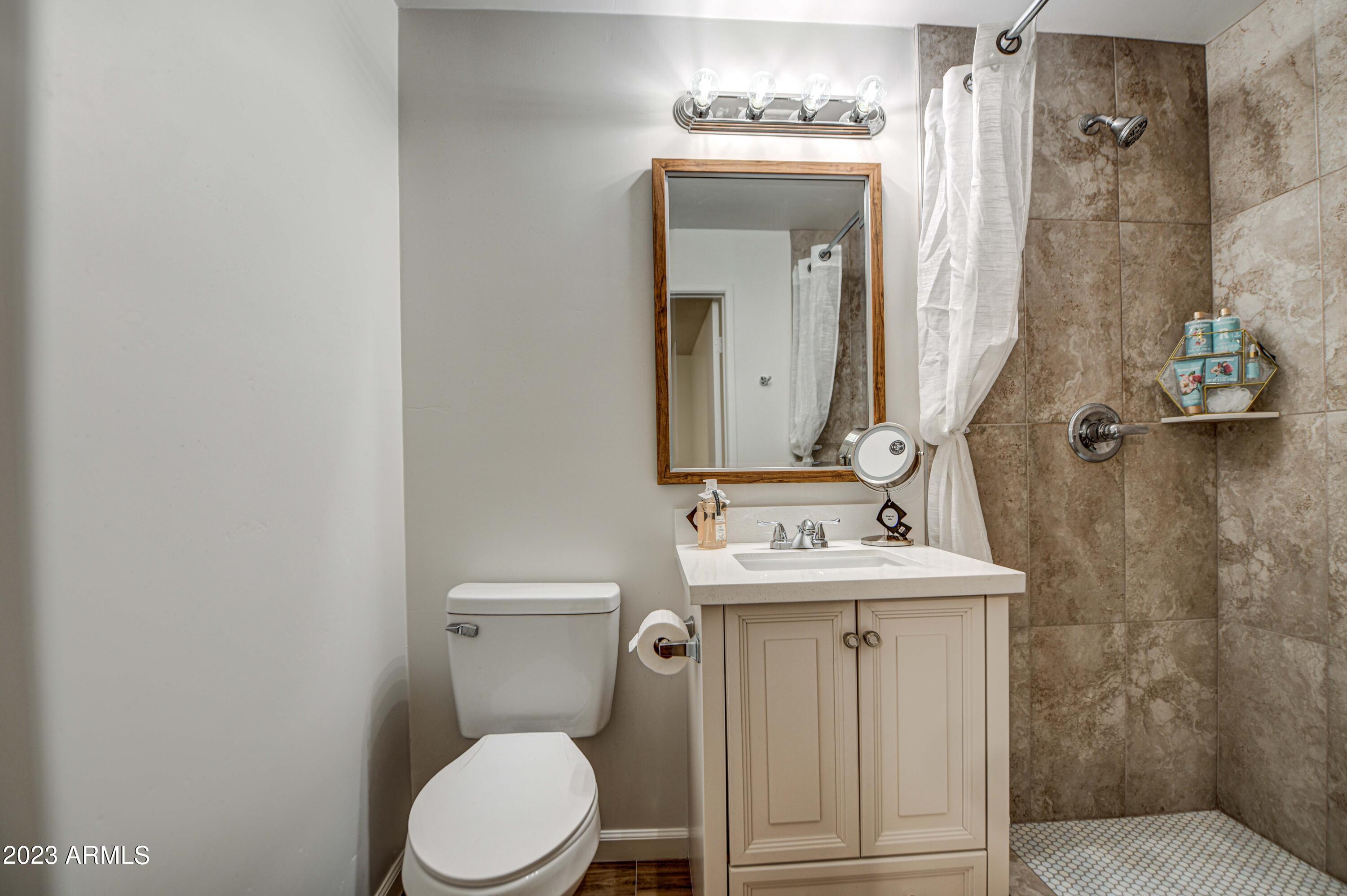 1302 East Pecan Road Phoenix, AZ 85040 - Photo 21 of 37 Primary Bath 1