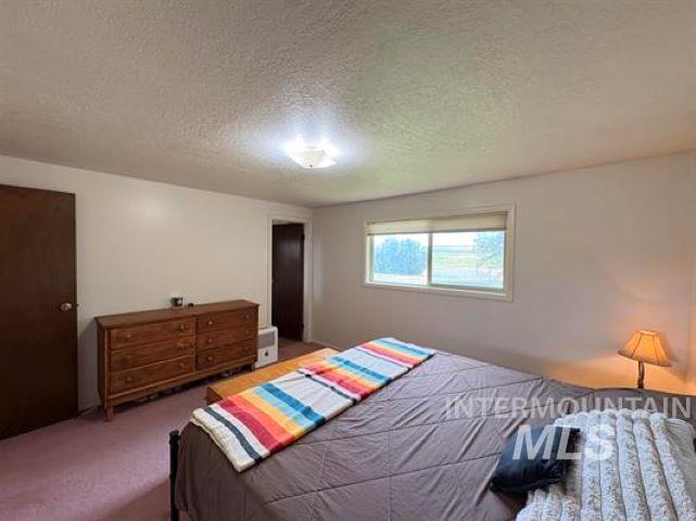 3197 Neeley Road American Falls, ID 83211 - Photo 22 of 45 Bright bedroom featuring a window with an outdoor landscape, neutral wall tones, and a ceiling-mounted light fixture