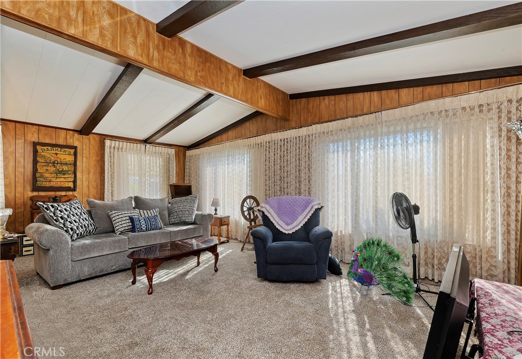 1630 Sonora Drive Hemet, CA 92543 - Photo 4 of 22 a living room with furniture and a potted plant