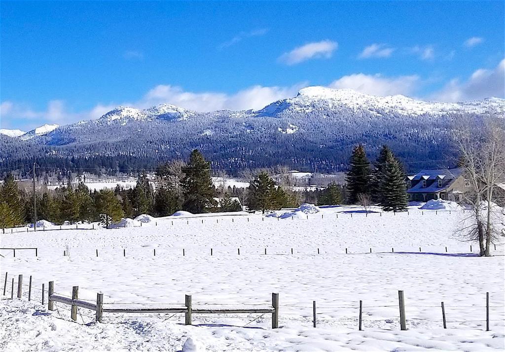 1217 Elo Road McCall, ID 83638 - Photo 13 of 16