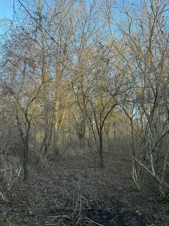 $95,200 | 1830 North Bunn Road, Hillsdale, MI 49242