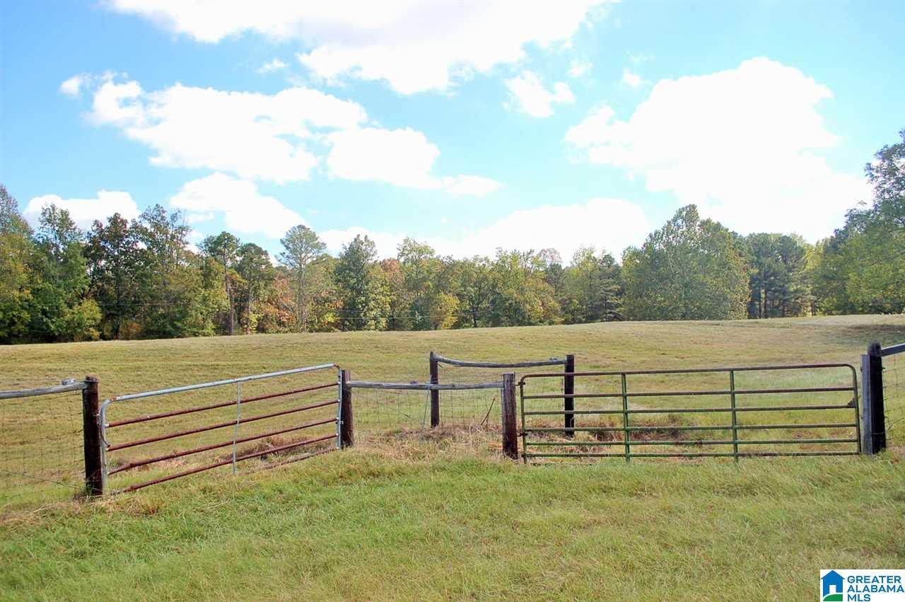 905 Sitton Road Hayden, AL 35079 - Photo 12 of 34