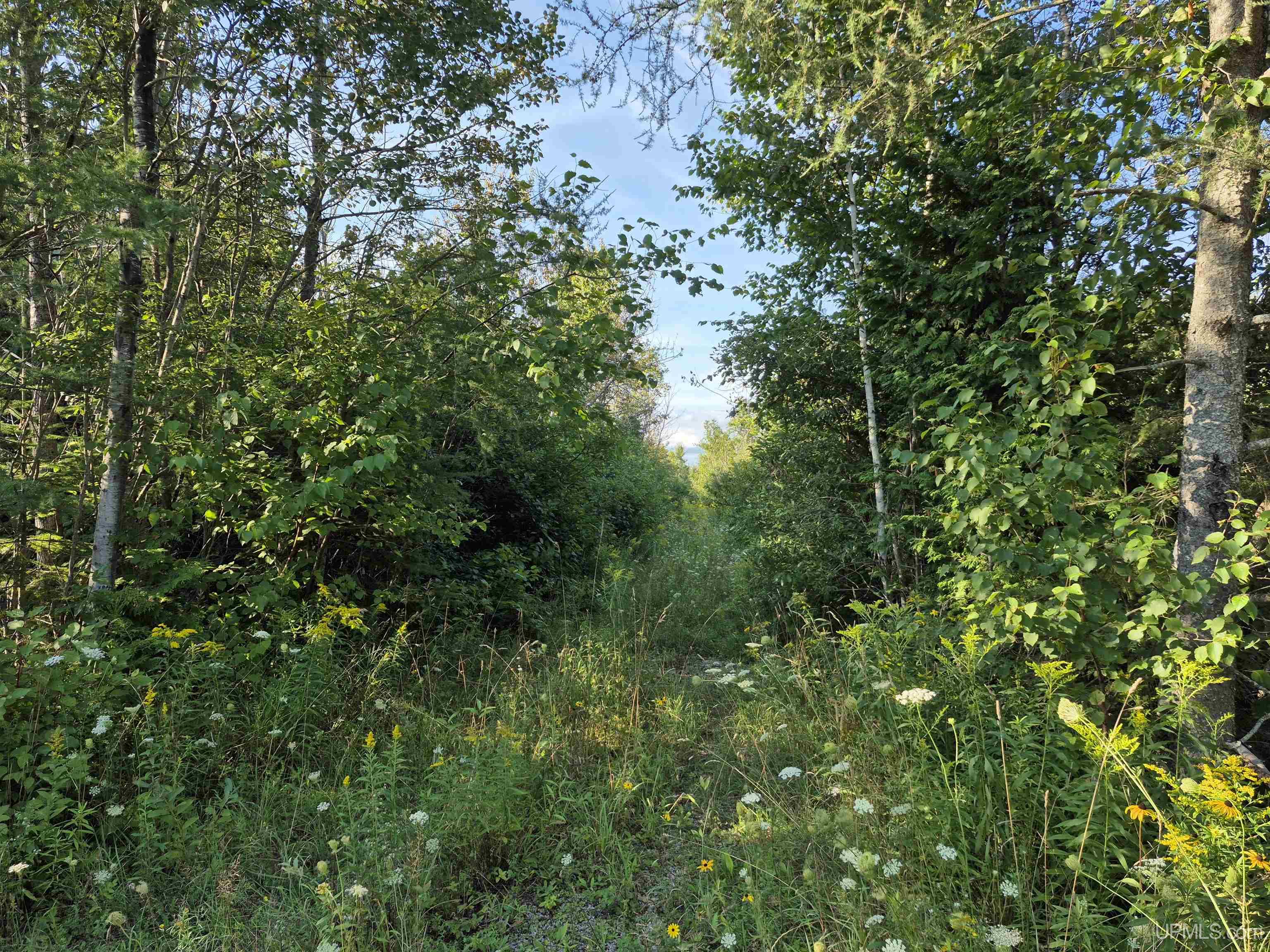 332-acres River Road Gulliver, MI 49840 - Photo 3 of 14