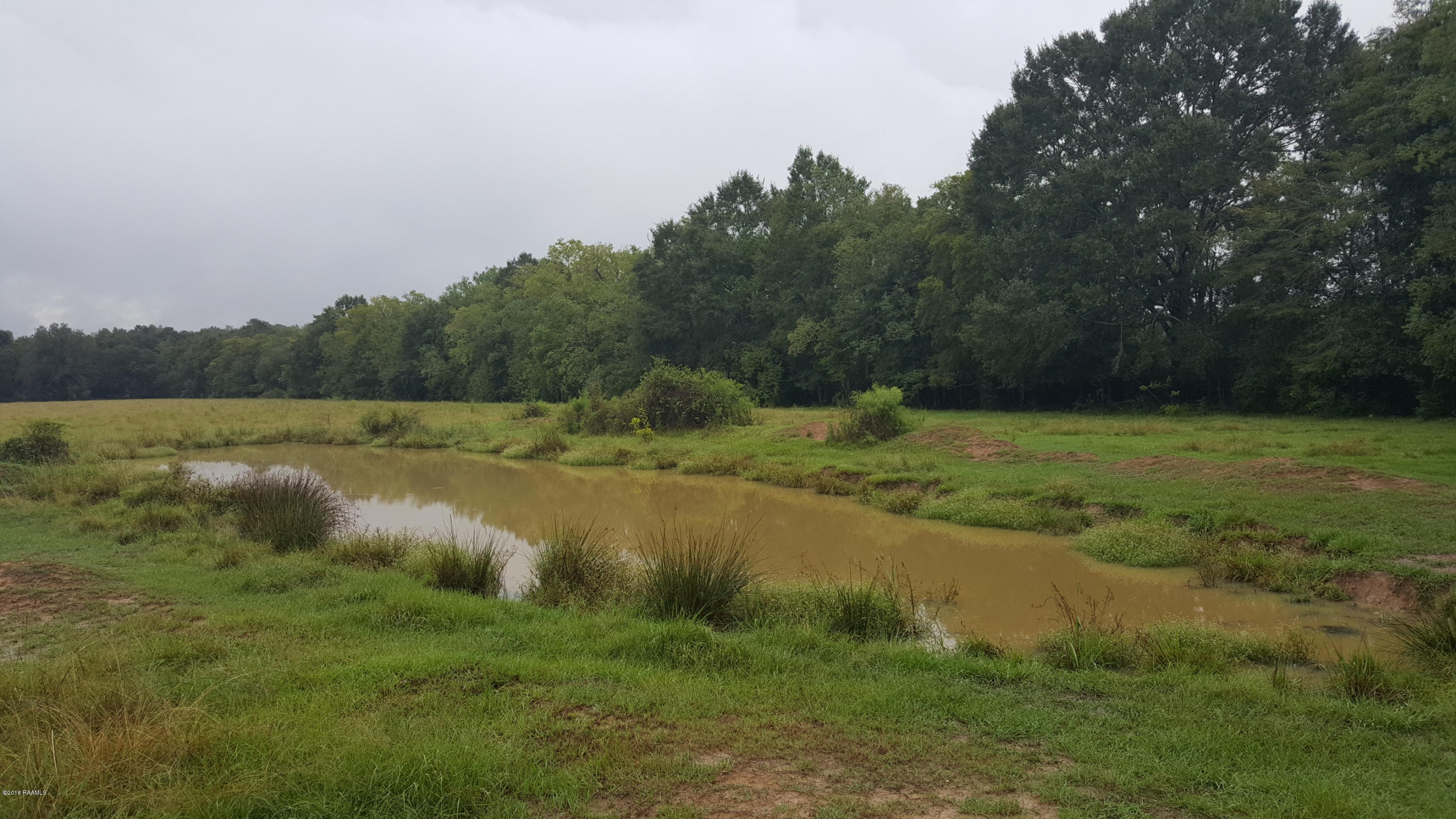 875 Raiders Road Opelousas, LA 70570 - Photo 4 of 4 Gallery Image 4