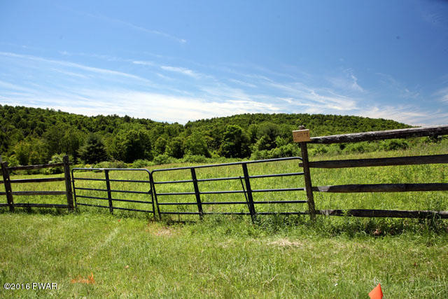 0 Jaketown Road Livingston Manor, NY 12758 - Photo 1 of 16