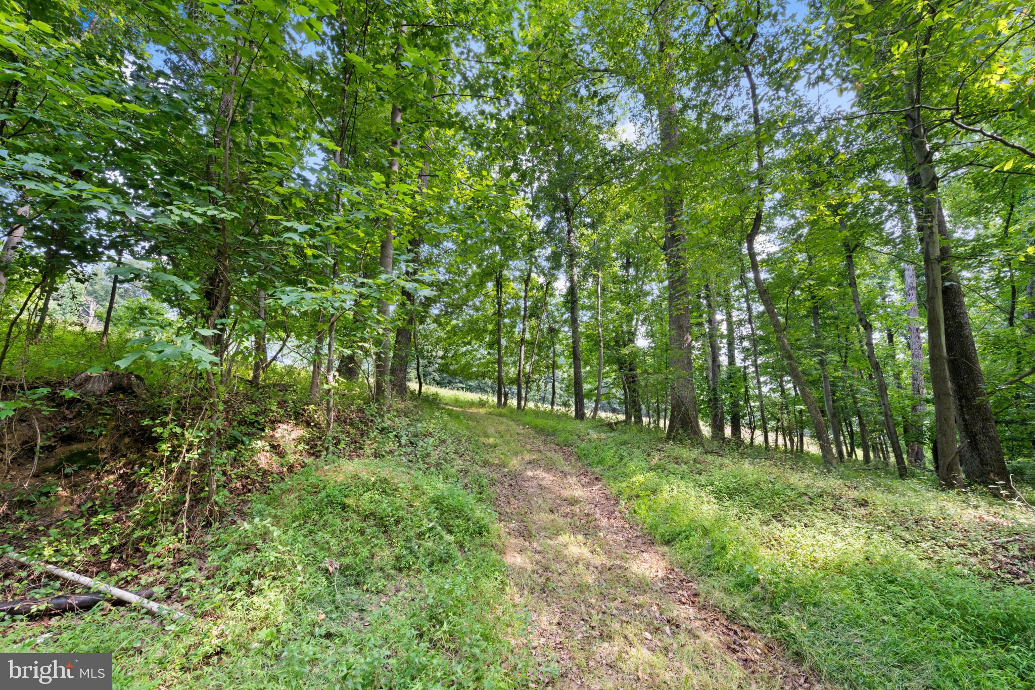 14002 Longnecker Road Reisterstown, MD 21136 - Photo 5 of 14 Gallery Image 5