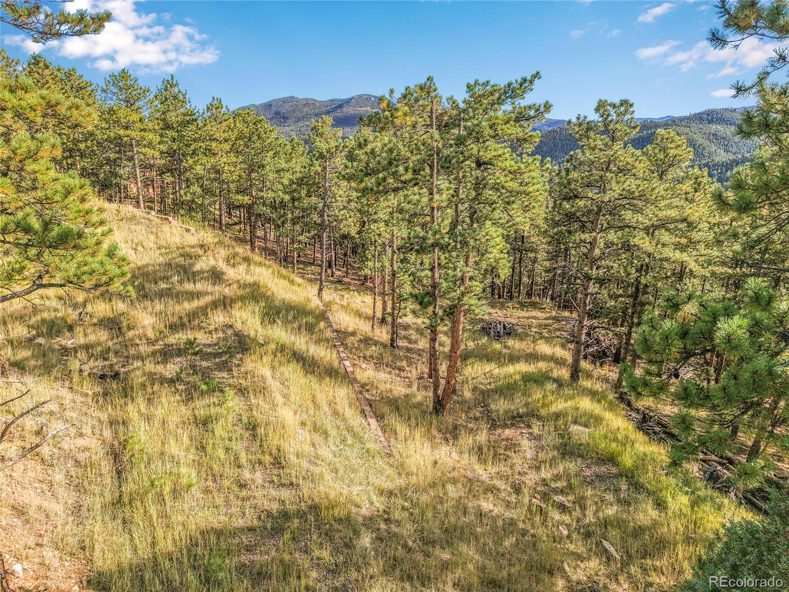 2317 Wieler Road Evergreen, CO 80439 - Photo 17 of 26