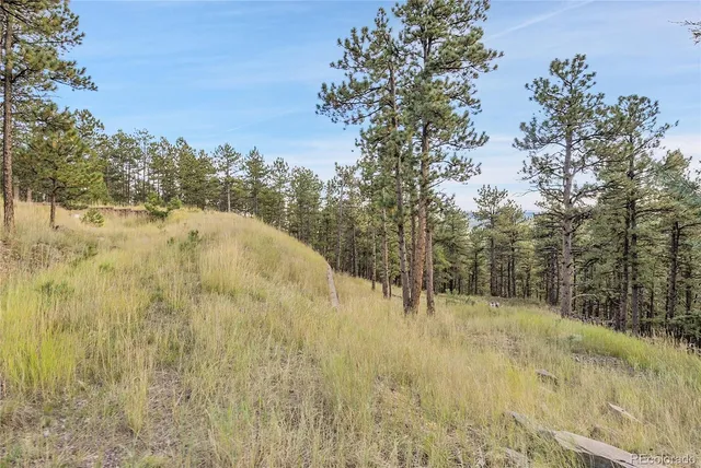 $775,000 | 2317 Wieler Road, Evergreen, CO 80439