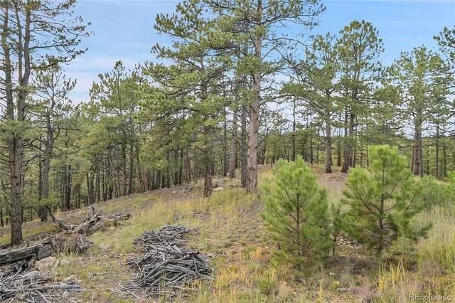$775,000 | 2317 Wieler Road, Evergreen, CO 80439