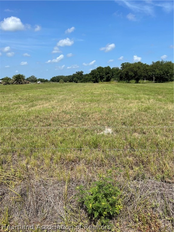 2704 Garza Road Zolfo Springs, FL 33890 - Photo 1 of 2 Gallery Image 1