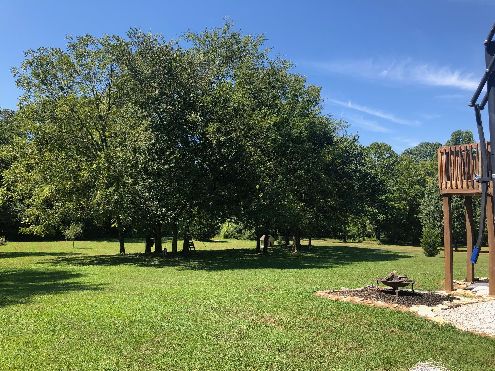 1675 Center Star Road Columbia, TN 38401 - Photo 6 of 21 a view of a park with tree s