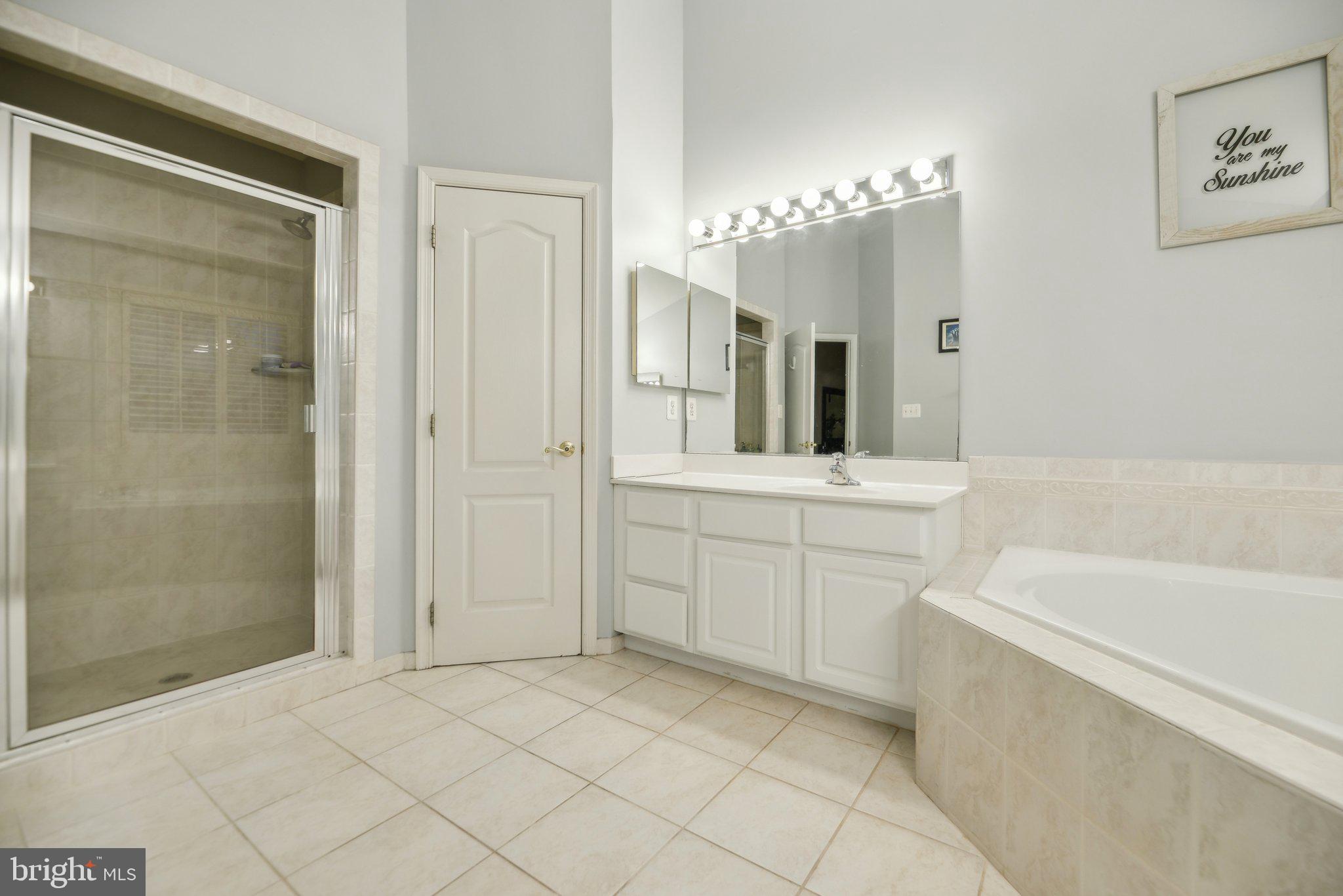 47753 Ramshead Terrace Sterling, VA 20165 - Photo 19 of 37 a bathroom with a sink a large mirror and a bathtub