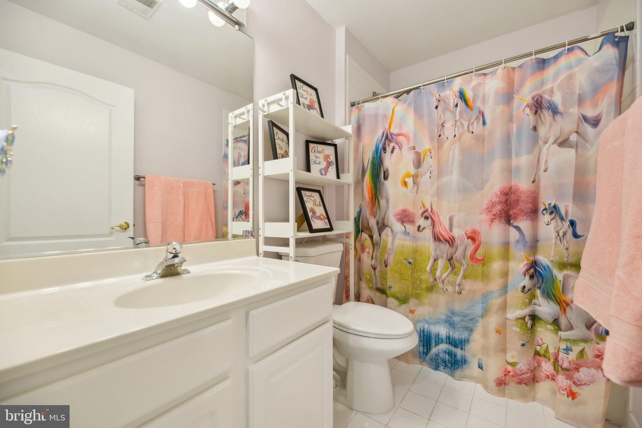 47753 Ramshead Terrace Sterling, VA 20165 - Photo 22 of 37 a bathroom with a sink and a mirror