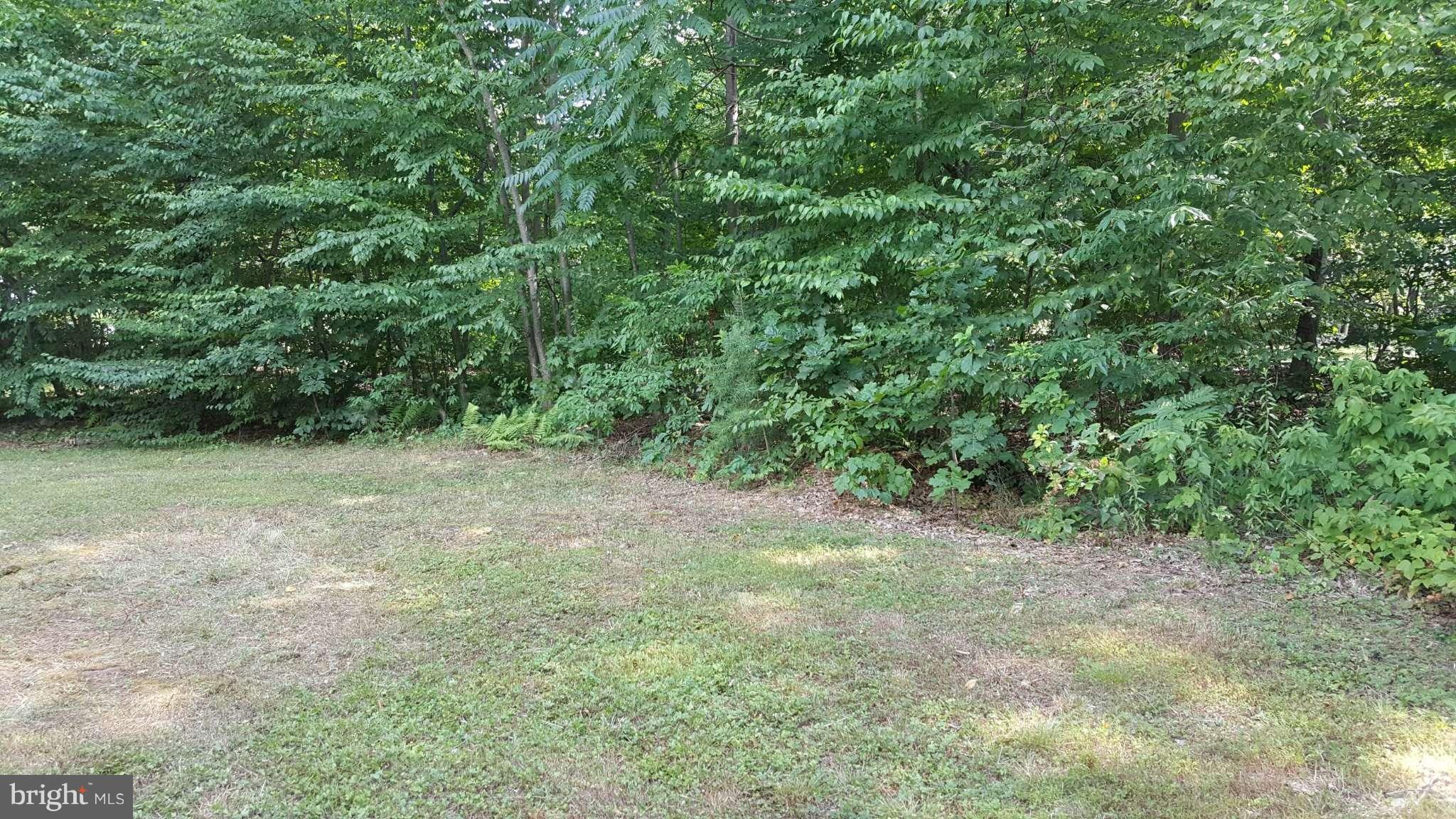 147 East Red Hill Road Conowingo, MD 21918 - Photo 15 of 16 Exterior (General)