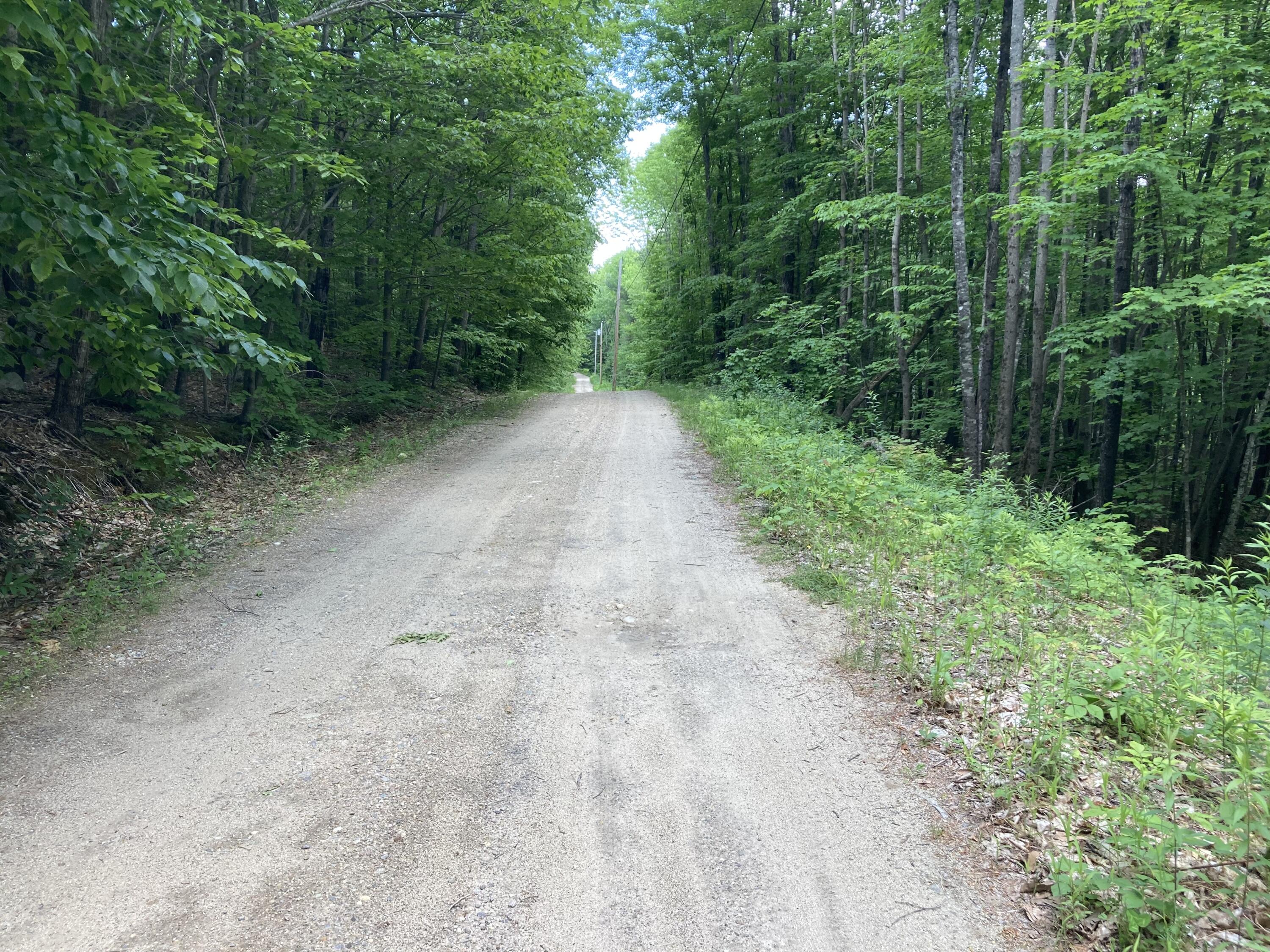 M4-l9-7 Rosenberg Road Sumner, ME 04292 - Photo 2 of 4 IMG_3869