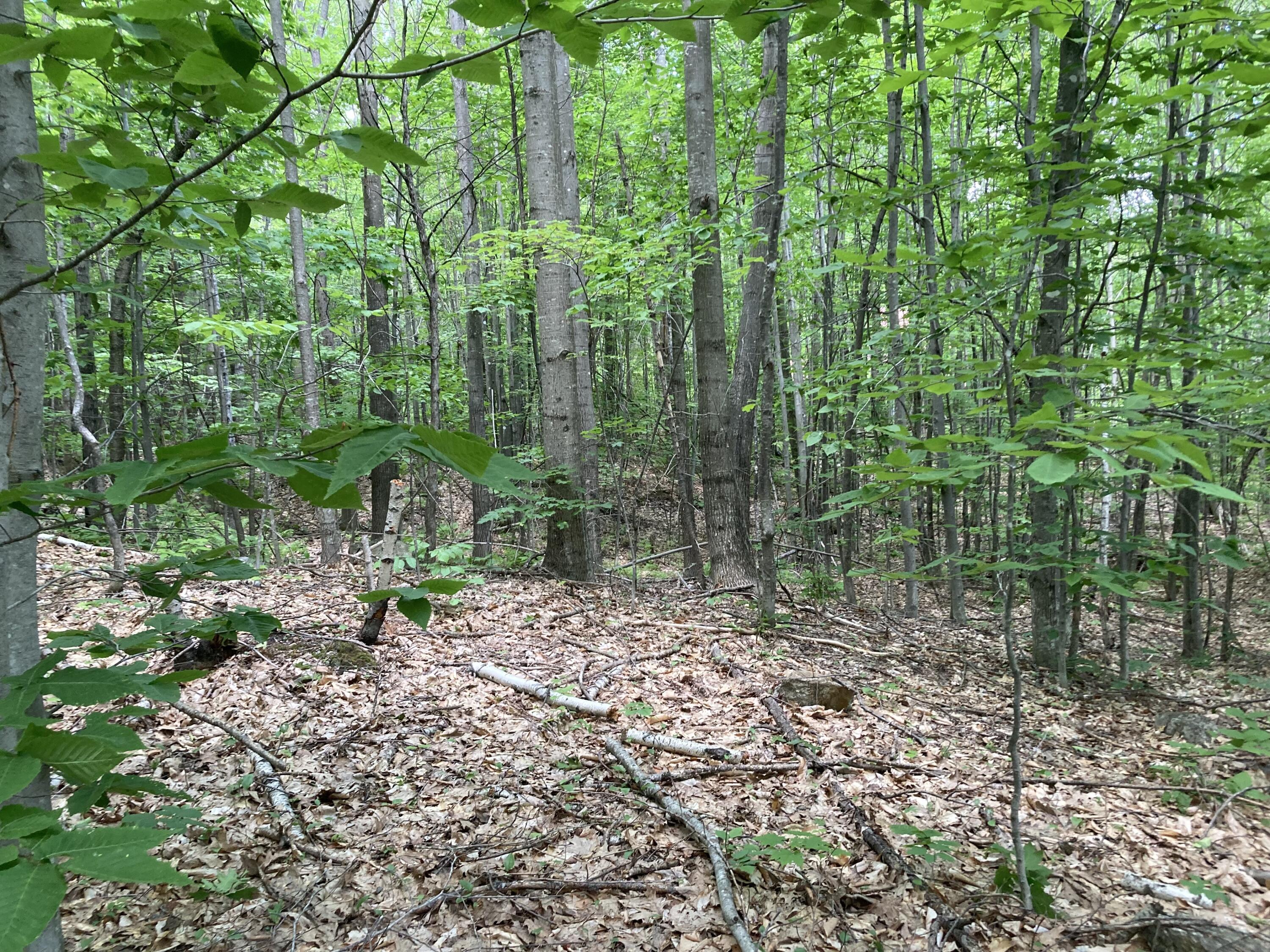 M4-l9-7 Rosenberg Road Sumner, ME 04292 - Photo 3 of 4 IMG_3872