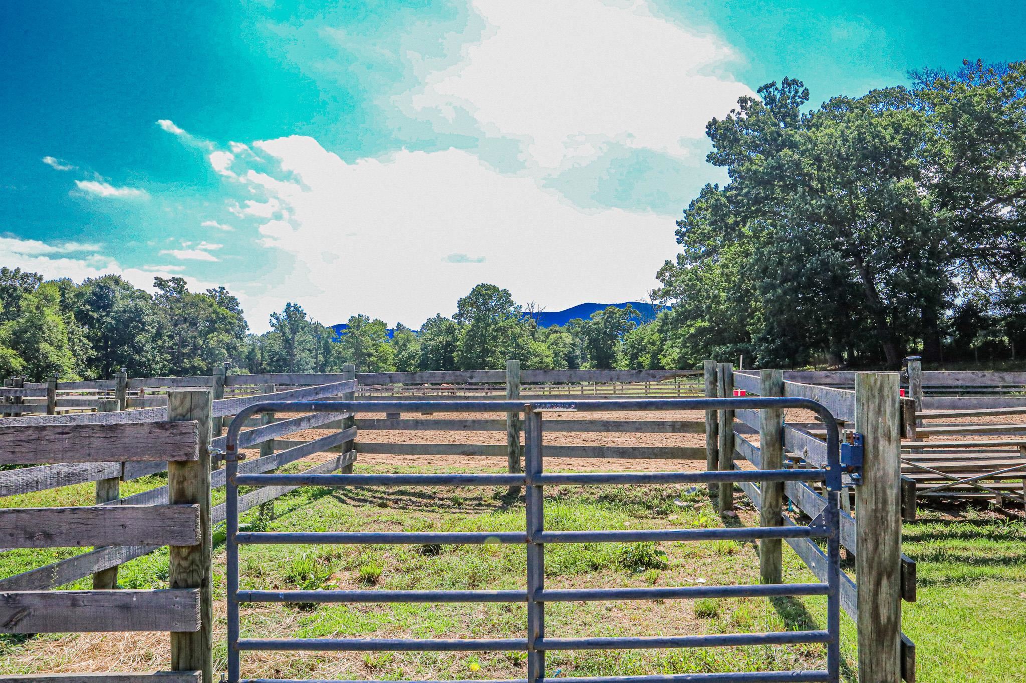 435 Lofton Road Raphine, VA 24472 - Photo 15 of 65 a view of a yard with wooden fence