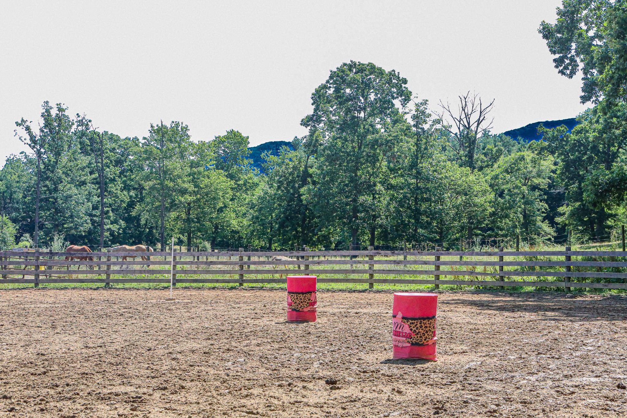 435 Lofton Road Raphine, VA 24472 - Photo 23 of 65 a view of outdoor space with deck and trees