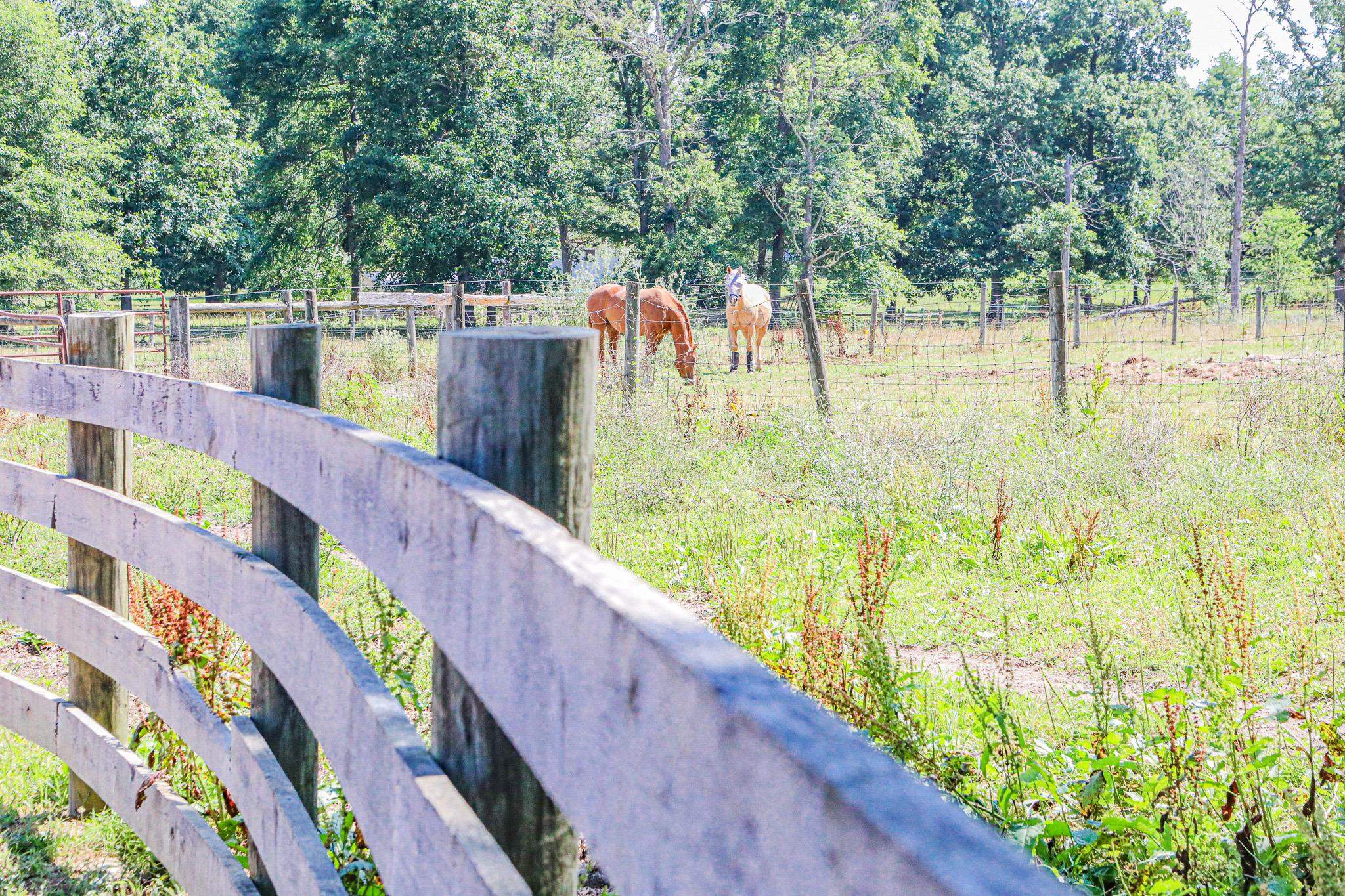 435 Lofton Road Raphine, VA 24472 - Photo 38 of 65 a view of swimming pool with a patio
