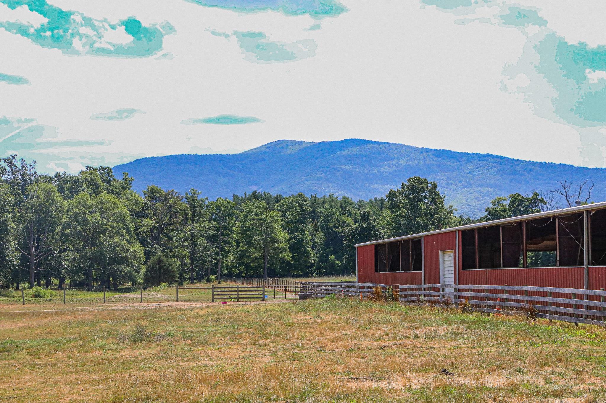 435 Lofton Road Raphine, VA 24472 - Photo 4 of 65 a view of a house with a yard