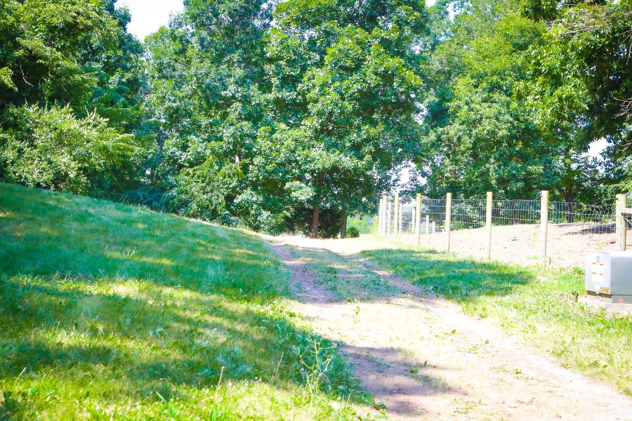 435 Lofton Road Raphine, VA 24472 - Photo 44 of 65 a view of a yard with plants and large trees