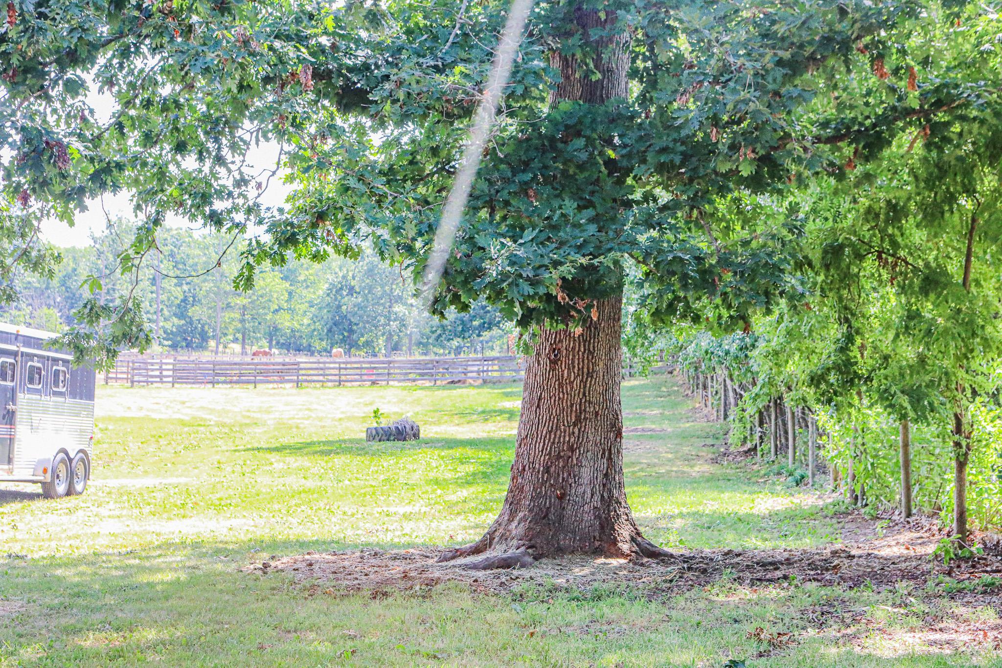 435 Lofton Road Raphine, VA 24472 - Photo 46 of 65 a view of a swimming pool in a yard with an trees