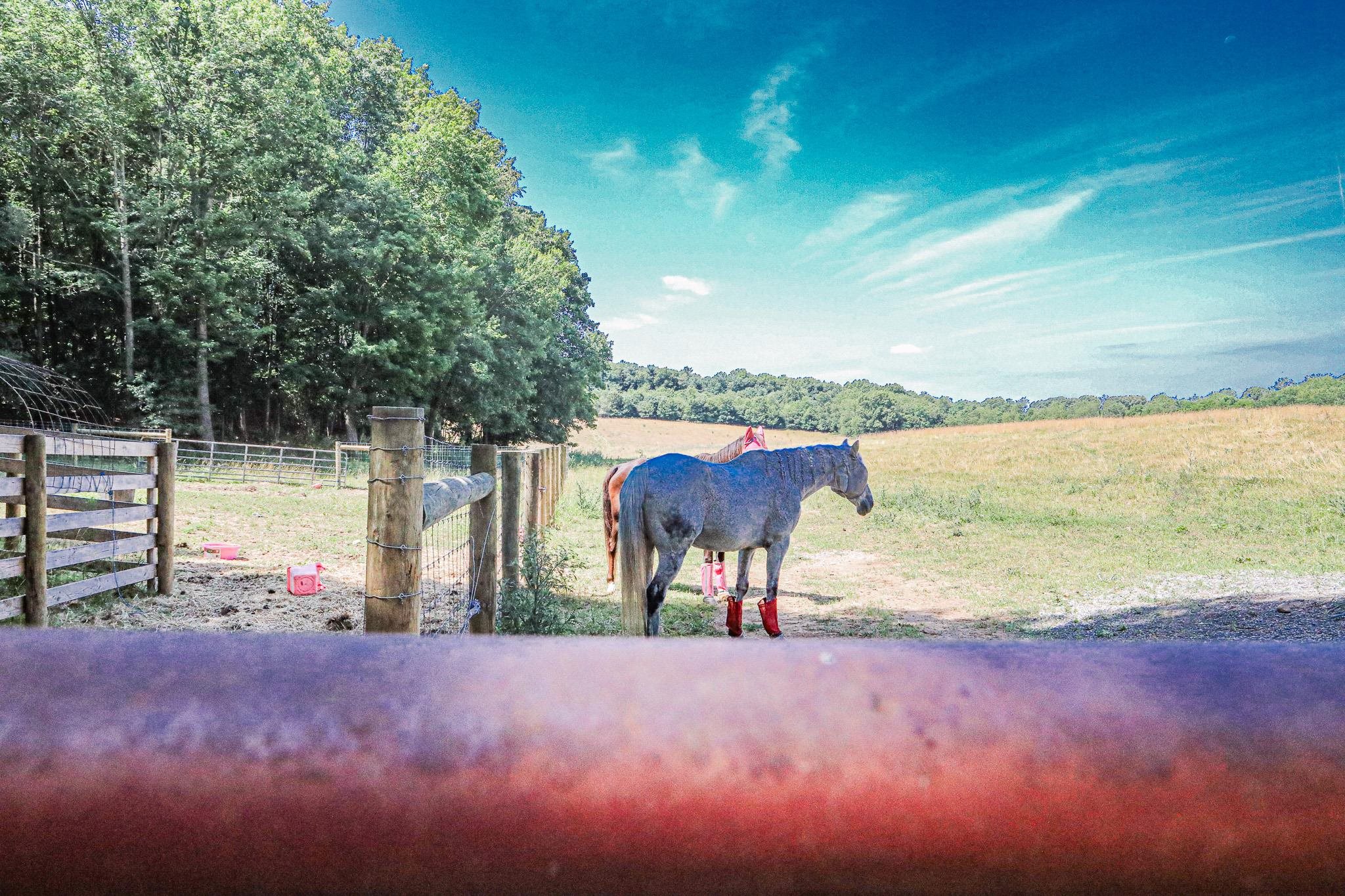 435 Lofton Road Raphine, VA 24472 - Photo 47 of 65 a view of a lake with a yard