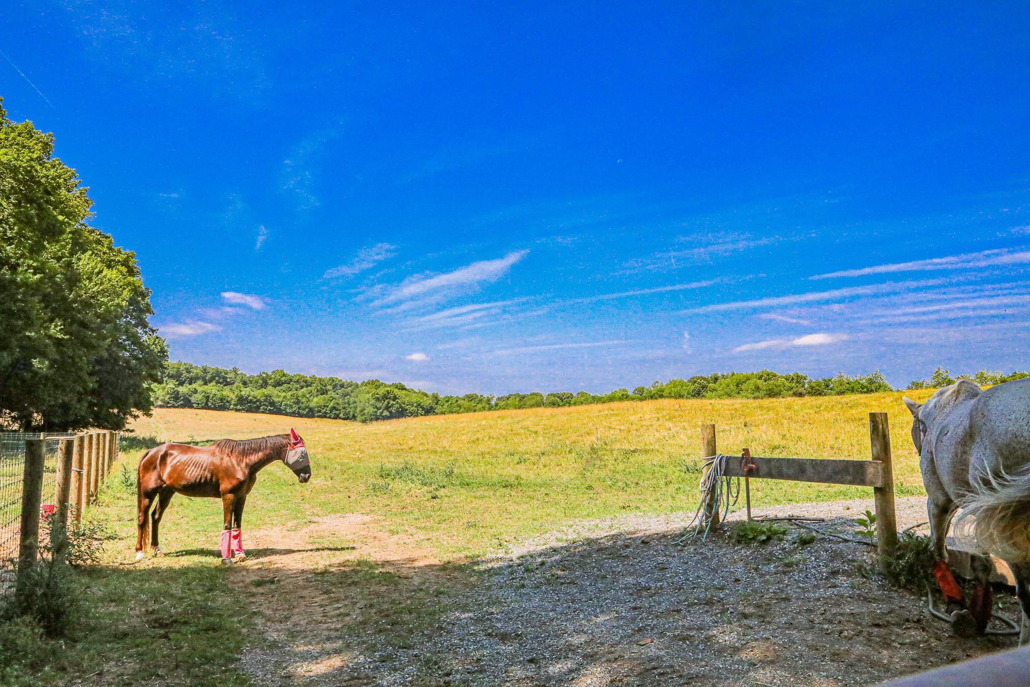 435 Lofton Road Raphine, VA 24472 - Photo 48 of 65