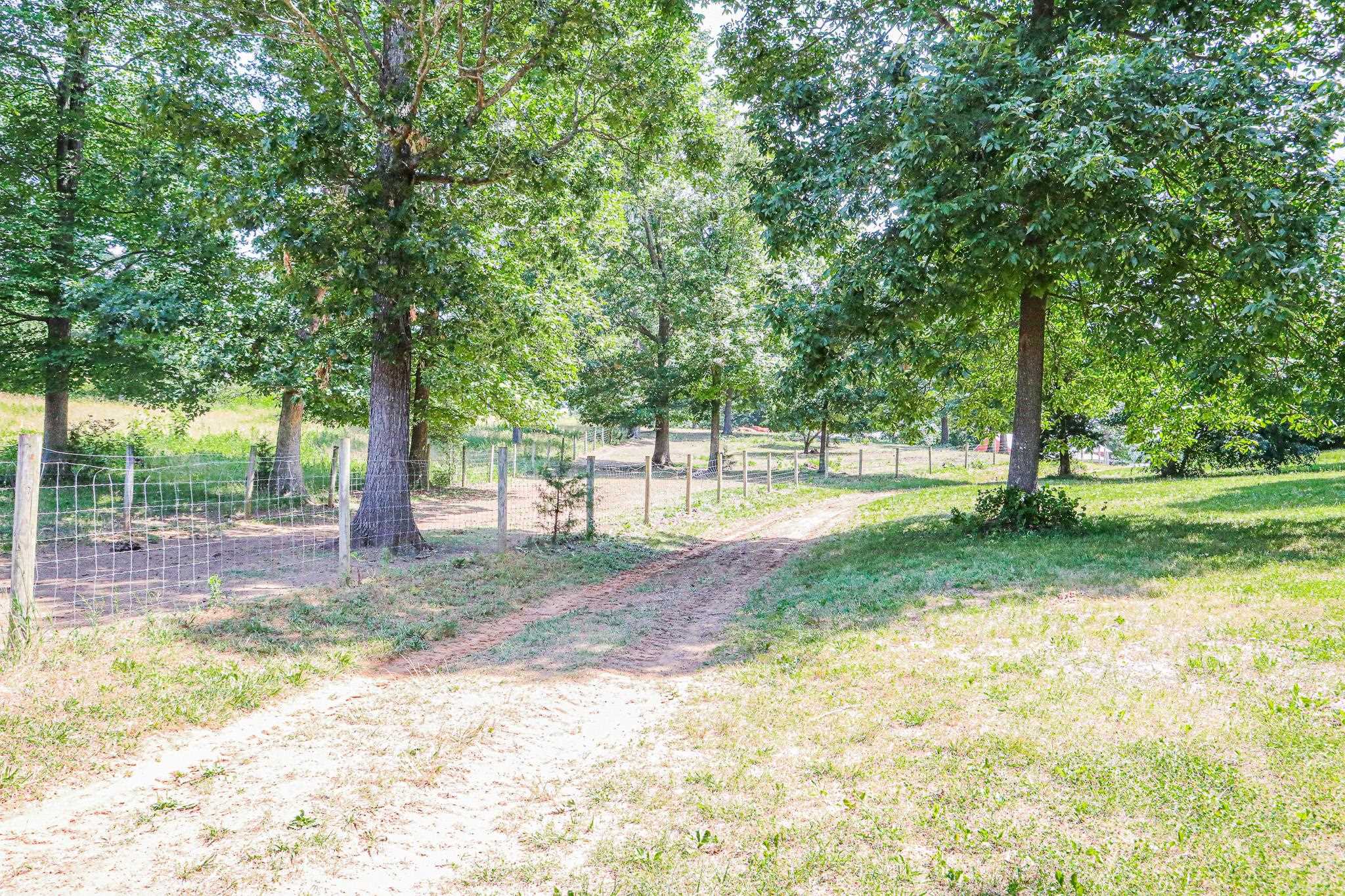435 Lofton Road Raphine, VA 24472 - Photo 49 of 65 a view of a yard with tree s