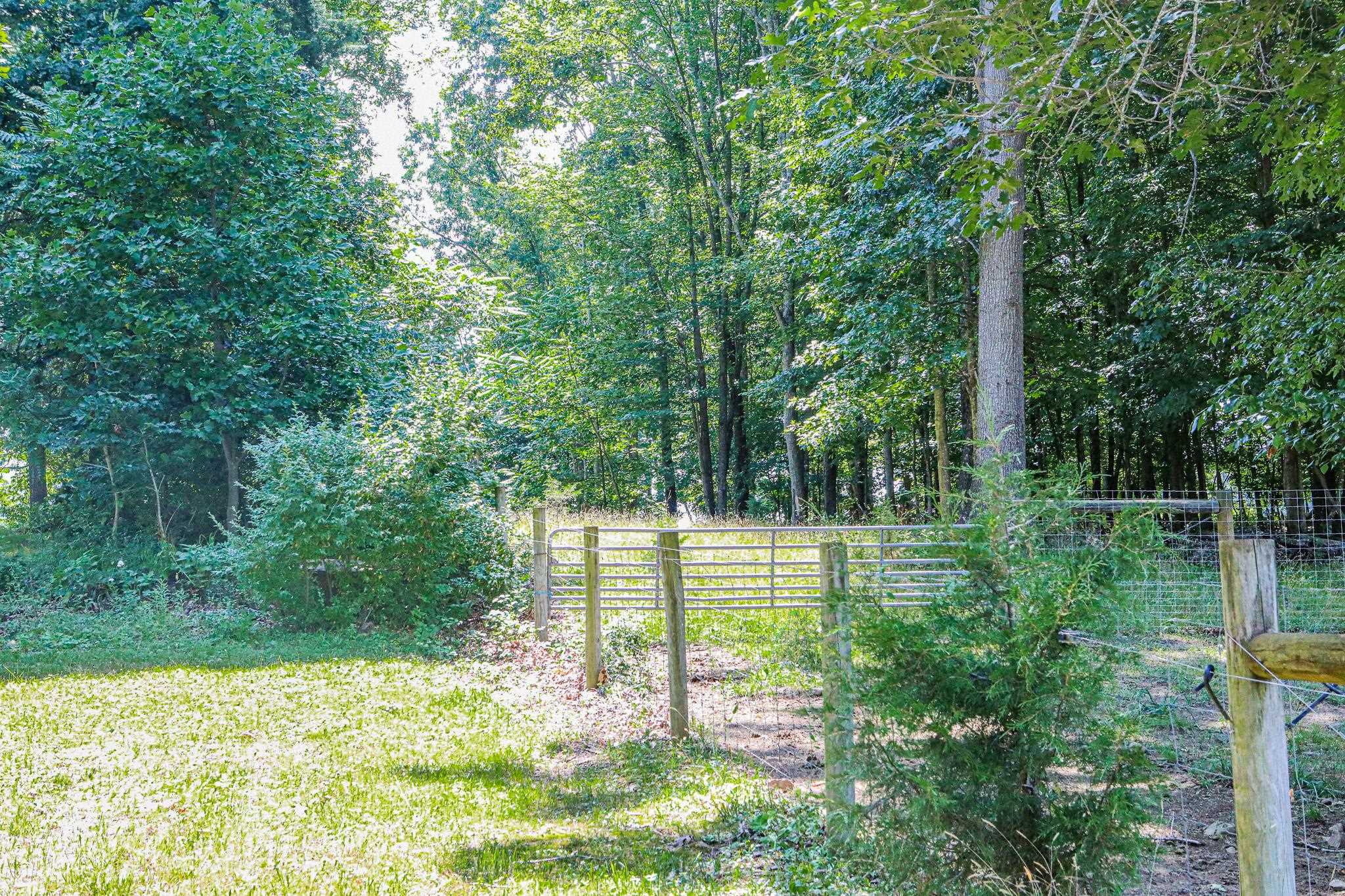 435 Lofton Road Raphine, VA 24472 - Photo 50 of 65 a view of a park with large trees
