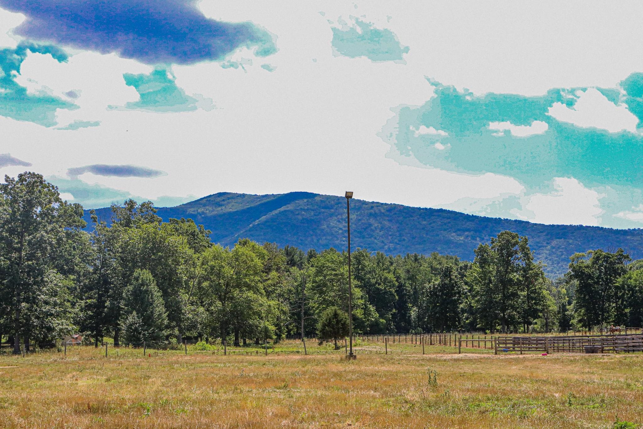 435 Lofton Road Raphine, VA 24472 - Photo 53 of 65 a view of a yard