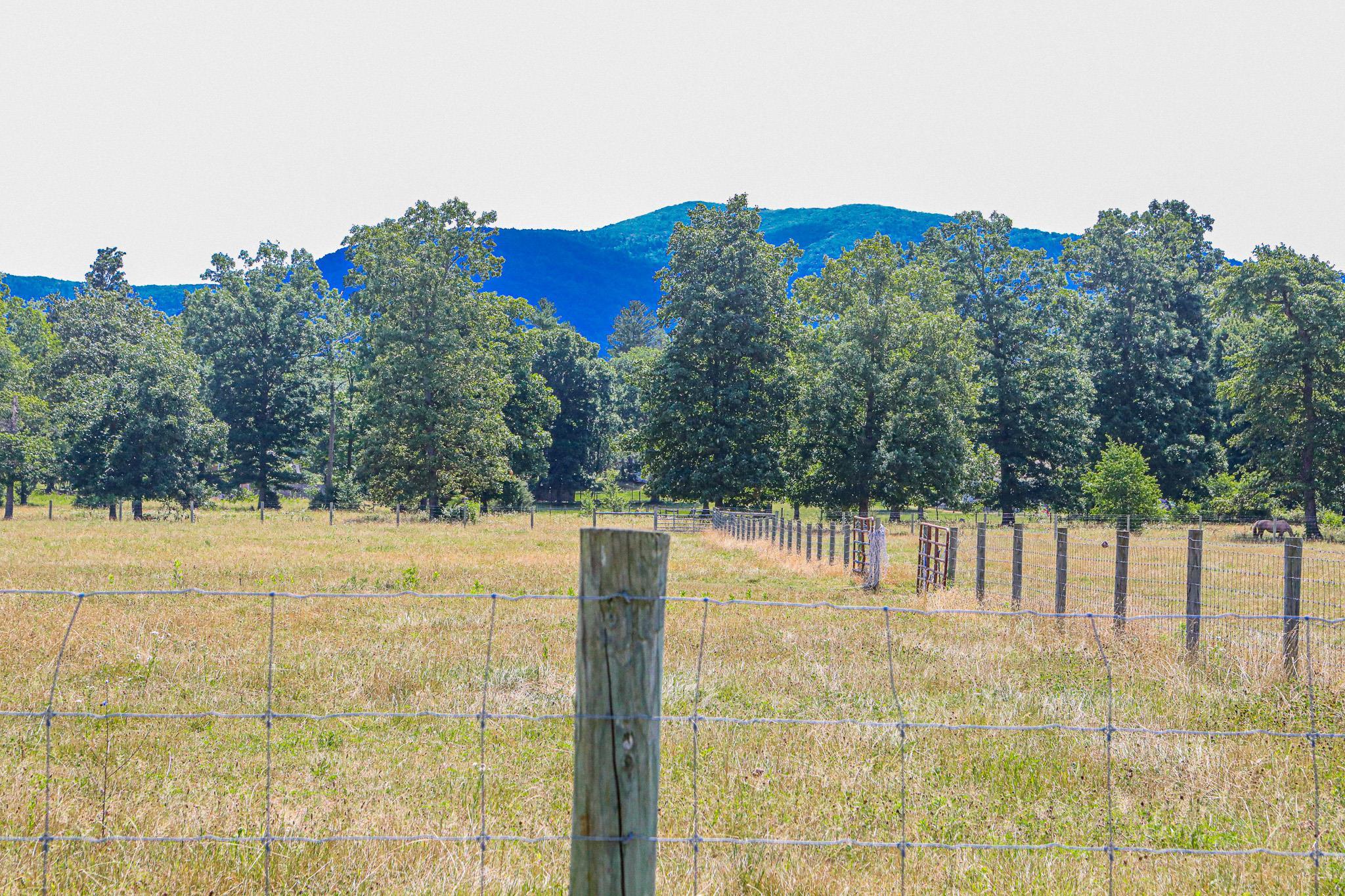 435 Lofton Road Raphine, VA 24472 - Photo 54 of 65 a view of a lake with a mountain in the background
